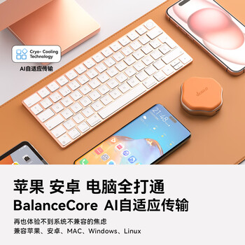 VEIGLO移动固态硬盘500GB（PSSD）苹果手机直连Type-c3.2 iPhone16 安卓手机电脑两用外接硬盘