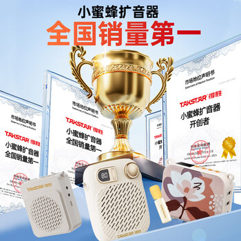 得胜（TAKSTAR）E30W 无线小蜜蜂扩音器教师专用导游喇叭腰挂便携式国风蓝牙小音箱喊话器无线讲课麦克风 柔月白