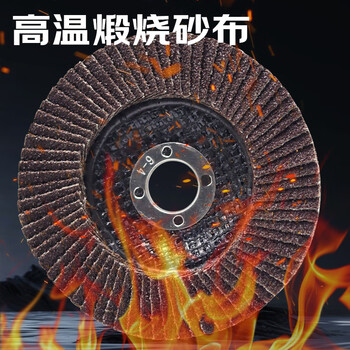 百威狮（BERRYLION）角磨机百叶片砂轮片抛光打磨片角磨片打磨工具60目10片