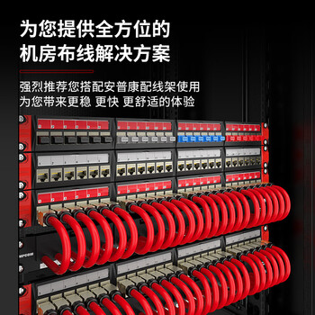 安普康（AMPCOM）网络直通头六类屏蔽 RJ45网线连接延长器 水晶头转接头网线双通头 AMCAT6B0802