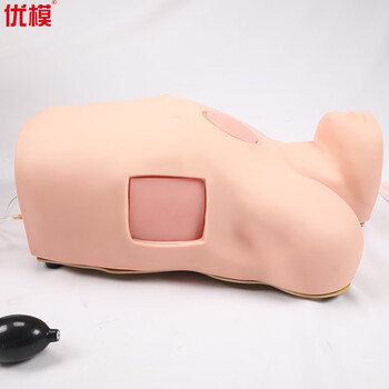 优模胸腔穿刺模拟训练模块张力性气(血)胸呼吸维持技术胸腔穿刺和胸腔闭式引流训练YOMO/L67