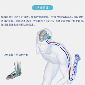 保而防护踝 MalleoTrain德国原装 减压按摩 银钛灰右脚5码单支