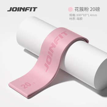 捷英飞（JOINFIT）硅胶弹力圈健身瑜伽翘臀女男训练带 20BL花簇粉 F.R.007A-J