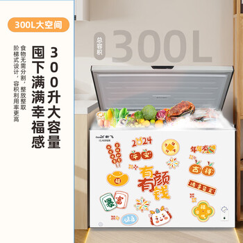 新飞（Frestec）300升单温冰柜 一级能效冷藏冷冻转换单箱顶开门卧式大容量BC/BD-300KHAT