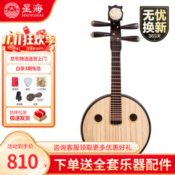 中阮乐器价格报价行情- 京东