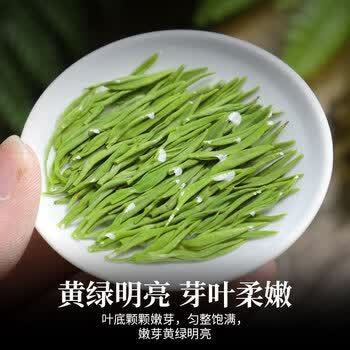 醉君怀茶叶 2026新茶明前嫩芽特级浓香毛尖绿茶自饮 袋装250g自己喝
