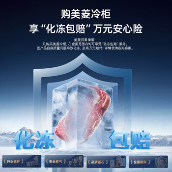 美菱301L单温家用冷柜直冷定频一级能效机械控温彩钢面板高效减霜BC/BD-301DT灰