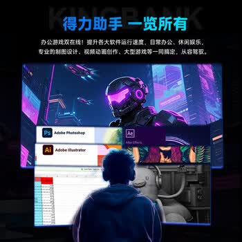 金百达（KINGBANK）8GB DDR4 3200 台式机内存条  intel专用条 黑爵