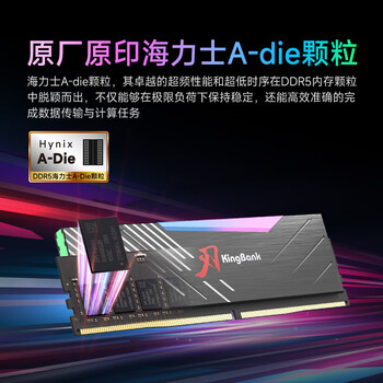 金百达(KINGBANK)64GB(32GBX2)套装 DDR5 6400 台式机内存条海力士A-die颗粒 黑刃RGB灯条 C32 Deepseek硬件 金百达(KINGBANK)64GB(32GBX2)套装 DDR5 6400 台式机内存条海力士A-die颗粒 黑刃RGB灯条 C32 Deepseek硬件