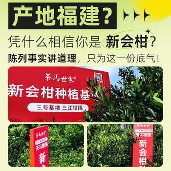 茶马世家普洱茶新会小青柑正宗生晒新会陈皮熟普茶叶端午节送礼罐装250g