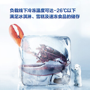 新飞201L单温家用冷柜一级冷藏冷冻冰柜节能省电宽幅变温小冰箱BC/BD-201KHAT 