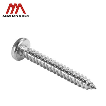 奥展实业（AOZHAN）304不锈钢GB845盘头十字槽自攻螺钉 M6.3 *22  10颗/包