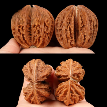 连体文玩核桃价格报价行情- 京东