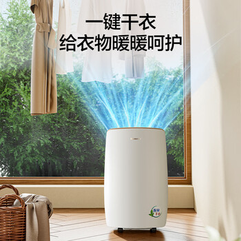 格力（GREE）除湿机/抽湿机家用除湿量20升/天 卧室客厅除潮防霉除湿器干燥器干衣机IE智能控湿24h定时DH20EH