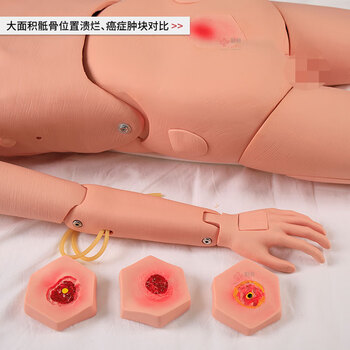 勤良高级多功能护理训练模拟人 老年护理技术训练模型(女性)血液测量 导尿穿刺 褥疮护理训练模型QL/H220B 勤良高级多功能护理训练模拟人 老年护理技术训练模型(女性)血液测量 导尿穿刺 褥疮护理训练模型QL/H220B