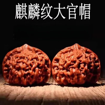 大粗筋狮子头价格报价行情- 京东