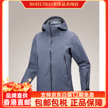 ARC’TERYX アークテリクス BETA SL ジャケット 始祖鳥刺繍 入り ARC'TERYX - ARC'TERYX アークテリクス BETA SL ジャケット 始祖鳥刺繍