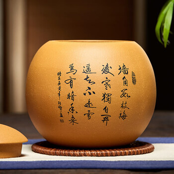 尊壶茶叶罐紫砂茶罐大号普洱茶盒茶仓散茶罐 龙旦茶叶罐 段泥