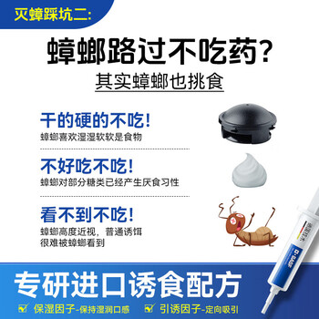 巴斯夫呋虫胺蟑螂药全窝端杀虫剂灭蟑螂胶饵杀蟑胶饵除蟑螂杀蟑饵剂24g