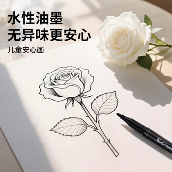 Touch mark勾线笔双头油性记号笔易水洗儿童绘画学生用美术线条笔画笔生日礼物12支 混色款