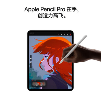 苹果 iPad Pro11英寸 M5芯片 2025年新款平板电脑 512G WLAN版 深空黑色MDWM4CH/A【企业专享】 苹果 iPad Pro11英寸 M5芯片 2025年新款平板电脑 512G WLAN版 深空黑色MDWM4CH/A【企业专享】