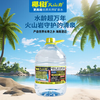 椰树火山岩饮用天然矿泉水 5L*2桶 整箱装 饮用水 正宗海南特产 椰树火山岩饮用天然矿泉水 5L*2桶 整箱装 饮用水 正宗海南特产