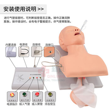 勤良成人电子气管插管训练模型（牙齿受压警报）口鼻咽喉插管置管操作练习模拟人气道阻塞通气插管模型QL/J5SA