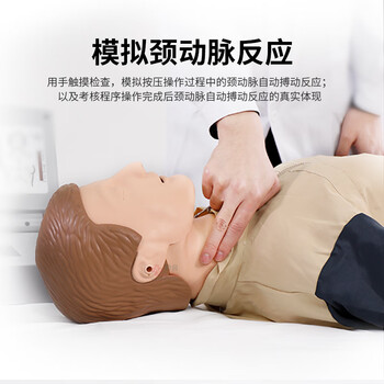 勤良高级智能无线版心肺复苏训练假人模型全身CPR人工呼吸急救训练模型（带平板电脑）软件系统QL/CPR20700