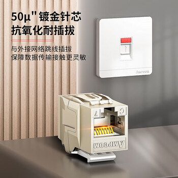 安普康（AMPCOM）网络直通头六类屏蔽 RJ45网线连接延长器 水晶头转接头网线双通头 AMCAT6B0802