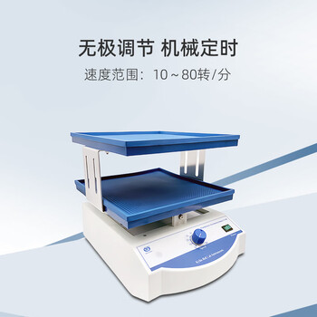 其林贝尔双层转移脱色摇床TS-8S 实验室无极调节调速机械定时振荡摇床混匀培养振荡器 其林贝尔双层转移脱色摇床TS-8S 实验室无极调节调速机械定时振荡摇床混匀培养振荡器