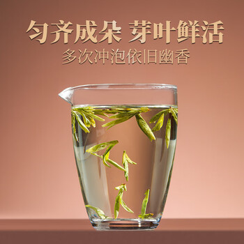 西湖江南2026新茶特级龙井茶明前茶叶礼盒装杭州特产250g送礼物长辈老丈人