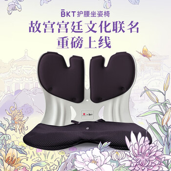 BKT人体工学护腰坐姿椅夏季凉垫靠垫久坐不累 情侣 (2个装)超大黑+蓝