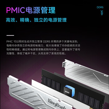 金百达（KINGBANK）16GB DDR5 4800 台式机内存条 银爵