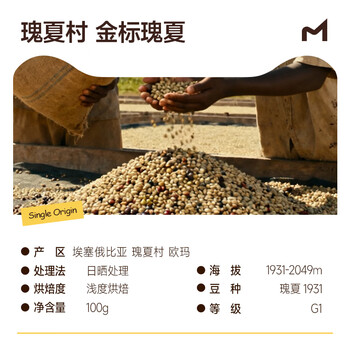 喵小雅瑰夏村金标瑰夏咖啡豆埃塞俄比亚精品手冲单品黑咖啡浅度烘焙100g