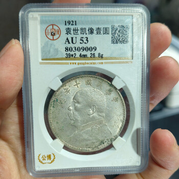 袁大头银元十年型号规格- 京东