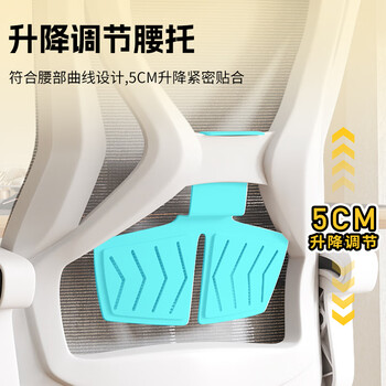 全品屋电脑椅人体工学椅游戏电竞椅办公椅老板椅学习椅座椅子靠背弓形椅