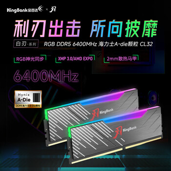 金百达(KINGBANK)64GB(32GBX2)套装 DDR5 6400 台式机内存条海力士A-die颗粒 黑刃RGB灯条 C32 Deepseek硬件 金百达(KINGBANK)64GB(32GBX2)套装 DDR5 6400 台式机内存条海力士A-die颗粒 黑刃RGB灯条 C32 Deepseek硬件