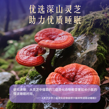 同仁堂（TRT）酸枣仁百合茯苓茶灵芝改善睡眠炒酸枣仁汤丸粉膏袋泡养生茶150g