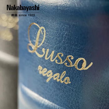 NCL仲林插袋式相册本300张6寸/PU皮复古影集/插页家庭相薄/diy纪念册照片书 NBZJ-3UP6-BU NCL仲林插袋式相册本300张6寸/PU皮复古影集/插页家庭相薄/diy纪念册照片书 NBZJ-3UP6-BU