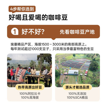 YIRGO*Taiwaka太哇卡意式深烘拼配咖啡豆阿拉比卡咖啡豆美式 红标200g