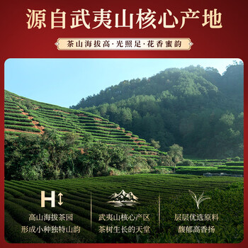 七春 【独立包装30小包】茶叶正山小种红茶 正宗武夷山茗茶口粮茶250g
