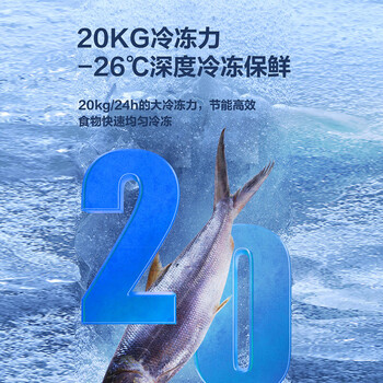 新飞201L单温家用冷柜一级冷藏冷冻冰柜节能省电宽幅变温小冰箱BC/BD-201KHAT 
