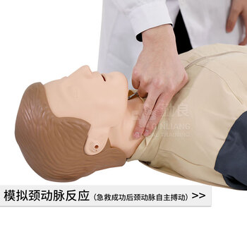 勤良心肺复苏训练假人模型心肺复苏除颤模拟人CPR人工呼吸胸外按压气道开放安全急救培训假人模型QL/CPR480A