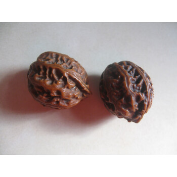 铁核桃文玩核桃品牌及商品- 京东