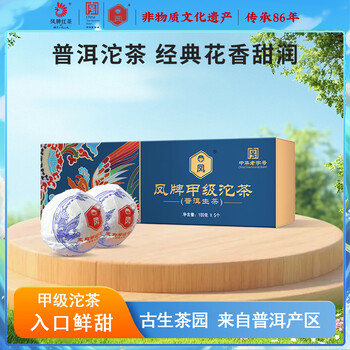 凤牌普洱甲級沱茶（熟）100g x5 凤牌普洱价格报价行情- 京东