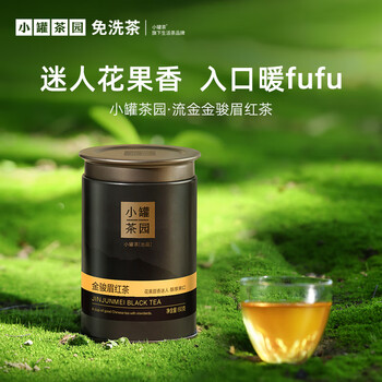 小罐茶园流金系列金骏眉60g罐装茶叶伴手礼 小罐茶出品