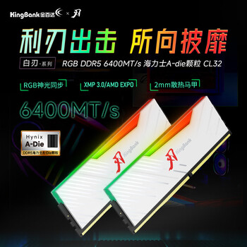 金百达（KINGBANK）64GB(32GBX2)套装 DDR5 6400 台式机内存条海力士A-die颗粒 白刃RGB灯条 C32 Deepseek硬件