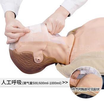 勤良QL/CPR290智能心肺复苏训练模拟人半身箱装CPR人工呼吸急救培训教学模型 气道开放胸外按压 心肺复苏训练假人