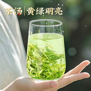 茶满纪茶叶绿茶 毛尖茶浓香新茶2025小罐装春茶嫩芽茶叶50g自己喝