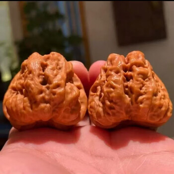 文完核桃金蝉品牌及商品- 京东